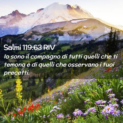 Picture 02 - Salmi 119:63 RIV - Io sono il compagno di tutti quelli che ti temono - Bible Verse Picture