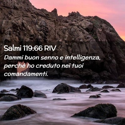 Picture 02 - Salmi 119:66 RIV - Dammi buon senno e intelligenza, perché ho - Bible Verse Picture