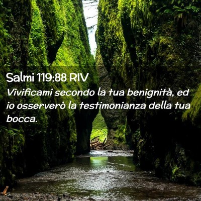 Picture 02 - Salmi 119:88 RIV - Vivificami secondo la tua benignità, ed io - Bible Verse Picture