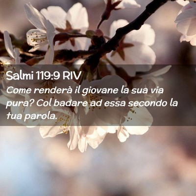 Picture 02 - Salmi 119:9 RIV - Come renderà il giovane la sua via pura? Col - Bible Verse Picture