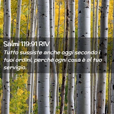 Picture 02 - Salmi 119:91 RIV - Tutto sussiste anche oggi secondo i tuoi ordini, - Bible Verse Picture