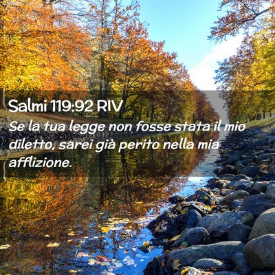 Picture 02 - Salmi 119:92 RIV - Se la tua legge non fosse stata il mio diletto, - Bible Verse Picture