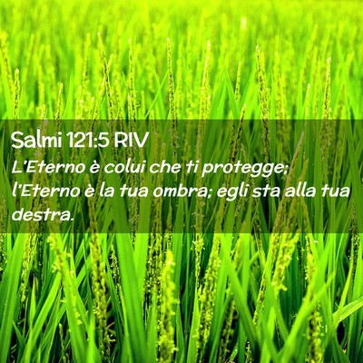 Picture 02 - Salmi 121:5 RIV - L’Eterno è colui che ti protegge; l’Eterno - Bible Verse Picture