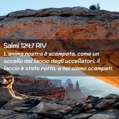 Picture 02 - Salmi 124:7 RIV - L’anima nostra è scampata, come un uccello dal - Bible Verse Picture