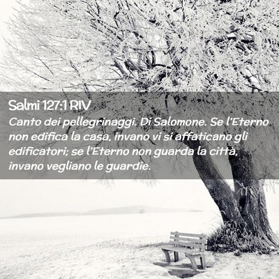 Picture 02 - Salmi 127:1 RIV - Canto dei pellegrinaggi. Di Salomone. Se - Bible Verse Picture
