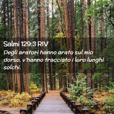 Picture 02 - Salmi 129:3 RIV - Degli aratori hanno arato sul mio dorso, - Bible Verse Picture