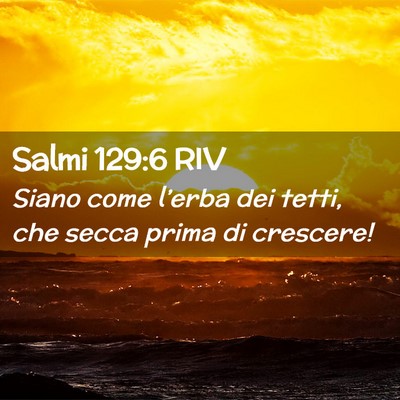 Picture 02 - Salmi 129:6 RIV - Siano come l’erba dei tetti, che secca prima di - Bible Verse Picture