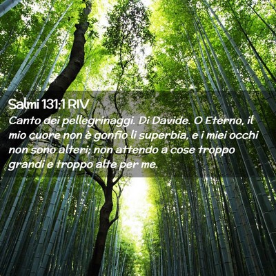 Picture 02 - Salmi 131:1 RIV - Canto dei pellegrinaggi. Di Davide. O Eterno, il - Bible Verse Picture