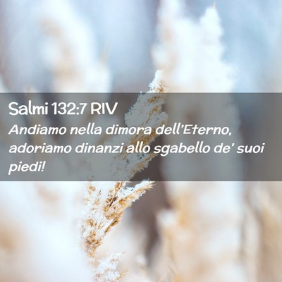 Picture 02 - Salmi 132:7 RIV - Andiamo nella dimora dell’Eterno, adoriamo - Bible Verse Picture