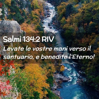 Picture 02 - Salmi 134:2 RIV - Levate le vostre mani verso il santuario, e - Bible Verse Picture