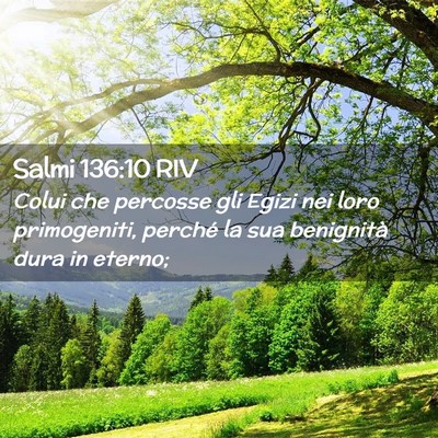 Picture 02 - Salmi 136:10 RIV - Colui che percosse gli Egizi nei loro - Bible Verse Picture
