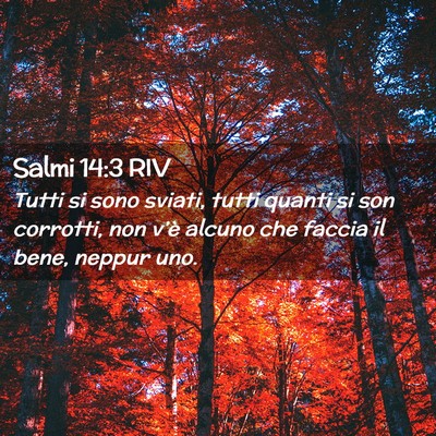 Picture 02 - Salmi 14:3 RIV - Tutti si sono sviati, tutti quanti si son - Bible Verse Picture
