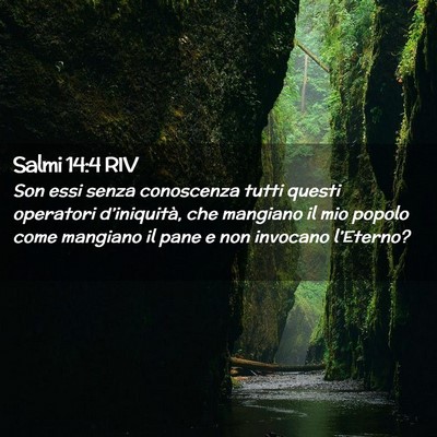 Picture 02 - Salmi 14:4 RIV - Son essi senza conoscenza tutti questi operatori - Bible Verse Picture