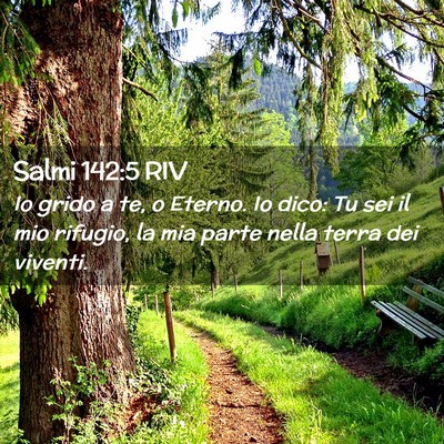 Picture 02 - Salmi 142:5 RIV - Io grido a te, o Eterno. Io dico: Tu sei il mio - Bible Verse Picture