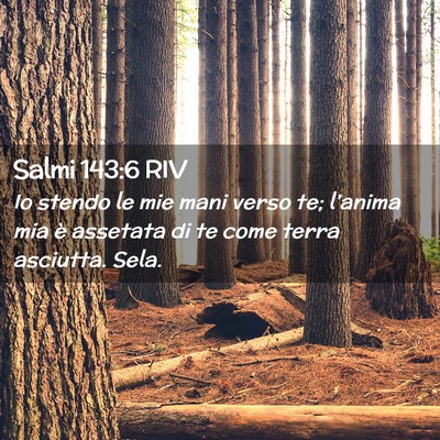 Picture 02 - Salmi 143:6 RIV - Io stendo le mie mani verso te; l’anima mia è - Bible Verse Picture