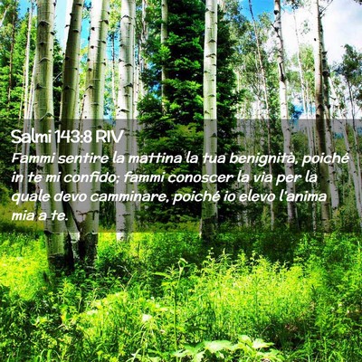 Picture 02 - Salmi 143:8 RIV - Fammi sentire la mattina la tua benignità, - Bible Verse Picture