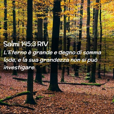 Picture 02 - Salmi 145:3 RIV - L’Eterno è grande e degno di somma lode, e la - Bible Verse Picture