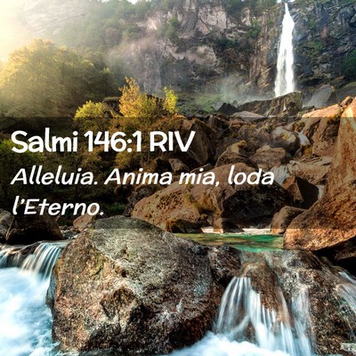 Picture 02 - Salmi 146:1 RIV - Alleluia. Anima mia, loda - Bible Verse Picture