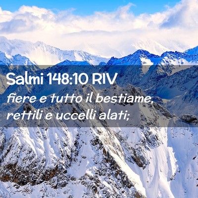 Picture 02 - Salmi 148:10 RIV - fiere e tutto il bestiame, rettili e uccelli - Bible Verse Picture