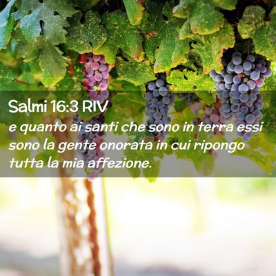 Picture 02 - Salmi 16:3 RIV - e quanto ai santi che sono in terra essi sono la - Bible Verse Picture