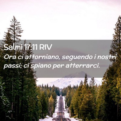 Picture 02 - Salmi 17:11 RIV - Ora ci attorniano, seguendo i nostri passi; ci - Bible Verse Picture