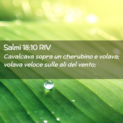 Picture 02 - Salmi 18:10 RIV - Cavalcava sopra un cherubino e volava; volava - Bible Verse Picture