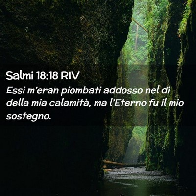 Picture 02 - Salmi 18:18 RIV - Essi m’eran piombati addosso nel dì della mia - Bible Verse Picture
