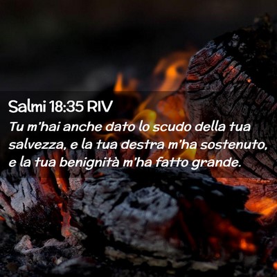 Picture 02 - Salmi 18:35 RIV - Tu m’hai anche dato lo scudo della tua - Bible Verse Picture
