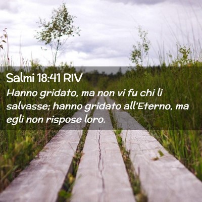 Picture 02 - Salmi 18:41 RIV - Hanno gridato, ma non vi fu chi li salvasse; - Bible Verse Picture
