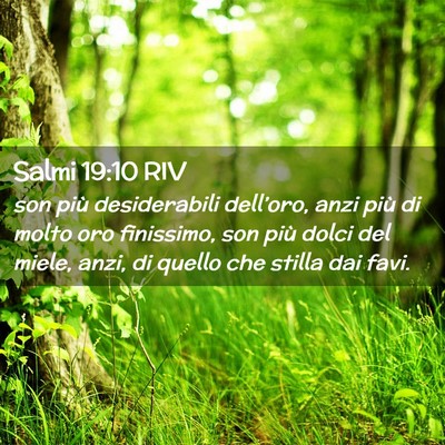 Picture 02 - Salmi 19:10 RIV - son più desiderabili dell’oro, anzi più di - Bible Verse Picture