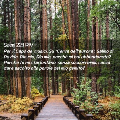Picture 02 - Salmi 22:1 RIV - Per il Capo de’ musici. Su “Cerva - Bible Verse Picture