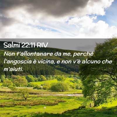 Picture 02 - Salmi 22:11 RIV - Non t’allontanare da me, perché l’angoscia - Bible Verse Picture