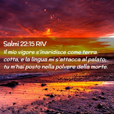 Picture 02 - Salmi 22:15 RIV - Il mio vigore s’inaridisce come terra cotta, e - Bible Verse Picture