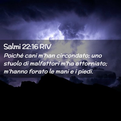 Picture 02 - Salmi 22:16 RIV - Poiché cani m’han circondato; uno stuolo di - Bible Verse Picture
