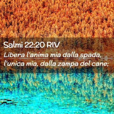 Picture 02 - Salmi 22:20 RIV - Libera l’anima mia dalla spada, l’unica mia, - Bible Verse Picture