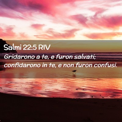 Picture 02 - Salmi 22:5 RIV - Gridarono a te, e furon salvati; confidarono in - Bible Verse Picture