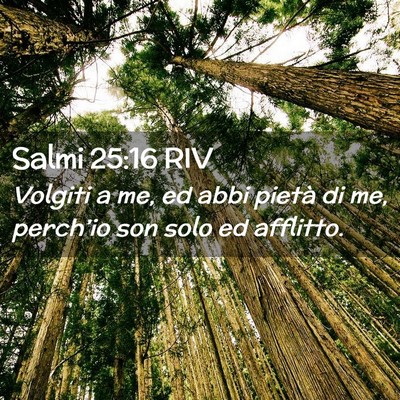 Picture 02 - Salmi 25:16 RIV - Volgiti a me, ed abbi pietà di me, perch’io - Bible Verse Picture