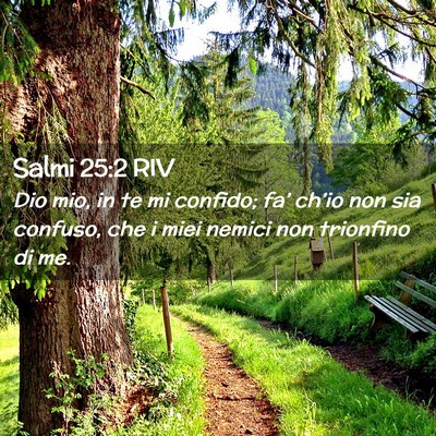 Picture 02 - Salmi 25:2 RIV - Dio mio, in te mi confido; fa’ ch’io non sia - Bible Verse Picture