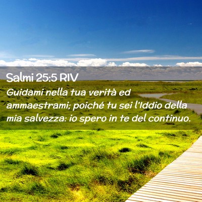 Picture 02 - Salmi 25:5 RIV - Guidami nella tua verità ed ammaestrami; poiché - Bible Verse Picture