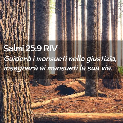 Picture 02 - Salmi 25:9 RIV - Guiderà i mansueti nella giustizia, insegnerà - Bible Verse Picture