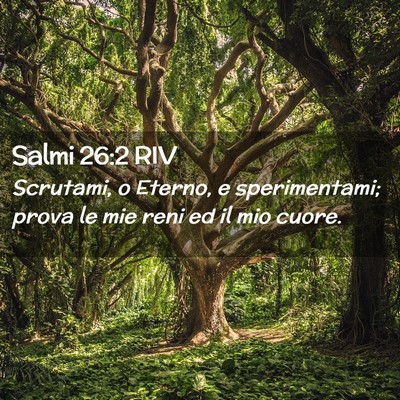 Picture 02 - Salmi 26:2 RIV - Scrutami, o Eterno, e sperimentami; prova le mie - Bible Verse Picture