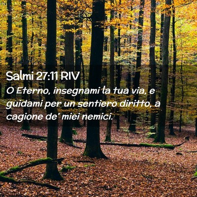 Picture 02 - Salmi 27:11 RIV - O Eterno, insegnami la tua via, e guidami per un - Bible Verse Picture