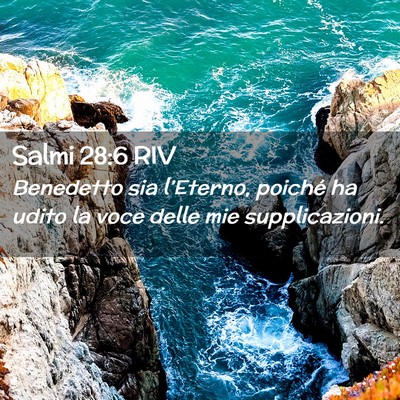 Picture 02 - Salmi 28:6 RIV - Benedetto sia l’Eterno, poiché ha udito la - Bible Verse Picture