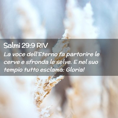 Picture 02 - Salmi 29:9 RIV - La voce dell’Eterno fa partorire le cerve e - Bible Verse Picture