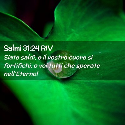 Picture 02 - Salmi 31:24 RIV - Siate saldi, e il vostro cuore si fortifichi, o - Bible Verse Picture