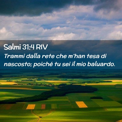 Picture 02 - Salmi 31:4 RIV - Trammi dalla rete che m’han tesa di nascosto; - Bible Verse Picture