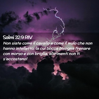 Picture 02 - Salmi 32:9 RIV - Non siate come il cavallo e come il mulo che non - Bible Verse Picture