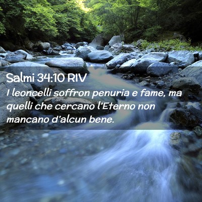 Picture 02 - Salmi 34:10 RIV - I leoncelli soffron penuria e fame, ma quelli che - Bible Verse Picture