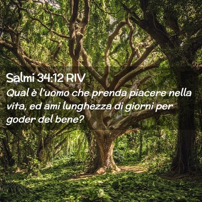 Picture 02 - Salmi 34:12 RIV - Qual è l’uomo che prenda piacere nella vita, - Bible Verse Picture