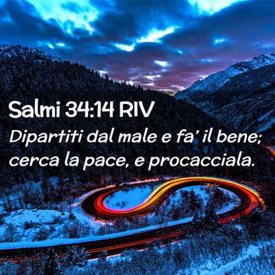 Picture 02 - Salmi 34:14 RIV - Dipartiti dal male e fa’ il bene; cerca la - Bible Verse Picture
